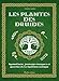 Les plantes des druides (French Edition) by