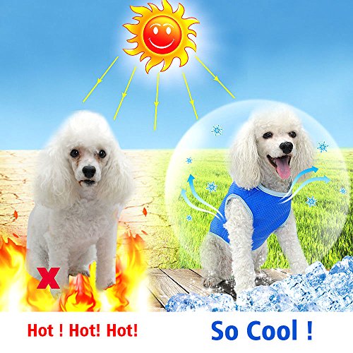 Ranphy Dog Cooling Vest for Small, Medium and Larges Dogs Reusable Swamp Cooler Jacket Soft Lightweight Pet Cool Coat Breathable Canine Outdoor Sunscreen Clothingfor Summer Hot Weather Blue Size L