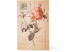 BSEASH Diversion Book Safe, Dictionary Secret Cash Safe Box with Combination Lock, Diversion Book Hidden Safe (Rose,Key, M)