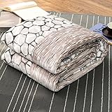Luxury Collection Ultra Soft Plush Fleece Lightweight All-Season Throw/Bed Blanket, Queen, Chase de Cube
