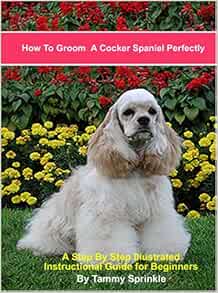 cocker spaniel haircut guide