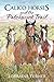 Calico Horses And Patchwork Trail by Loraine Turner
