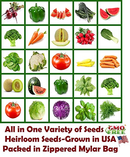 Heirloom Vegetable All In 1 Vegetables Seeds Fruit Seeds Herb Seeds Emergency Seed Vault Seed Bank Variety Of Vegetable Seeds Garden Seeds Non Gmo Seeds Non Hybrid Seeds On Galleon Philippines