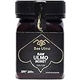 Bee Ulmo Raw Honey, Unpasteurized and Unprocessed Raw Honey in Jar, Unheated Patagonia Honey, Floral Multi Functional Non-GMO Superfood (APF 200+)