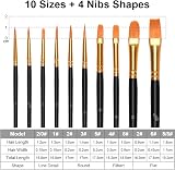 Vicloon 10Pcs Paint Brushes Set Nylon Hair Professional Art Brushes view 2
