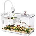 (Tank + Light + Filter + Filter Balls) Turtle Tank Kit, Turtle Tank Starter Kit,Bottom Drainage, Multi-Function Areas for Turtles, Crabs,Fishes, Amphibians,Reptiles. (15.75 x 8.64 x 8.64 Inch)