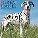 Just Great Danes 2017 Wall Calendar (Dog Breed Calendars)