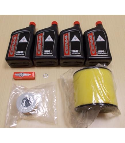 Amazon.com: 2003 HONDA TRX650FA FOURTRAX RINCON OIL CHANGE KIT