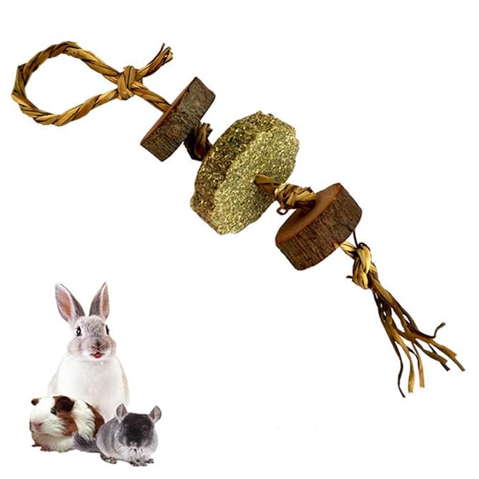 yeesport Parrot Chew Block Funny Bite Resistant Rabbit Chewing Toy