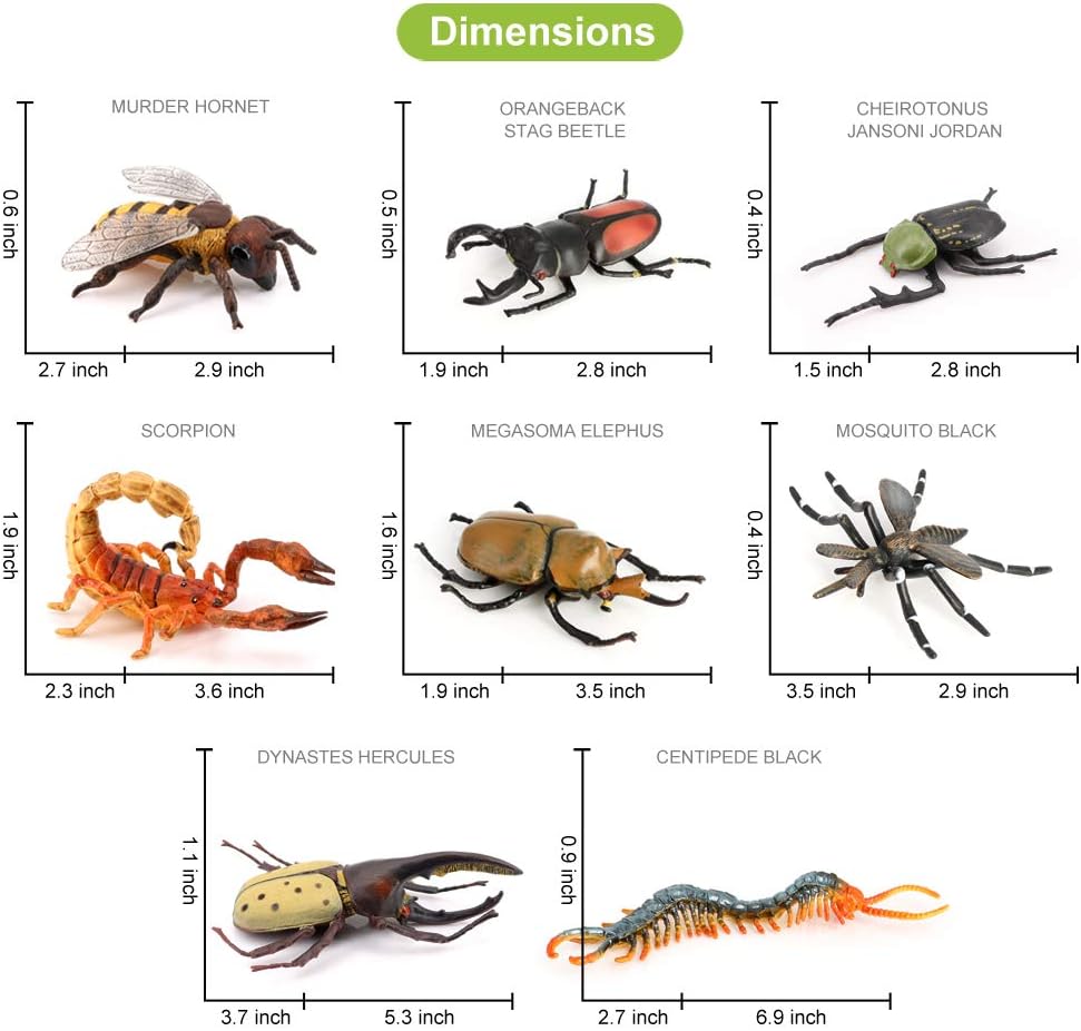 Volnau Insect Toys Figurines 13PCS Bug Animal Figures Pack for Kids Toddlers Christmas Decoration Gift Educational Cicada toy Bee Beetle Spider Plastic Model - Image 5