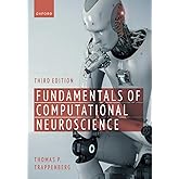 Fundamentals of Computational Neuroscience (3rd Edition)