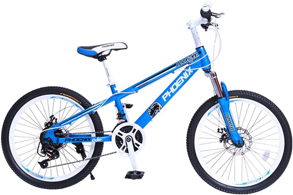 bicycle transmission system