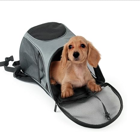 Amazon.com: Correas travet Pet Travel Dog Bolsa transpirable Pet mochila  perro portátil bolsa: Home \u0026 Kitchen