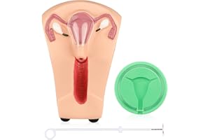IUD Training Model, IUD Training Simulator Human Anatomical Models