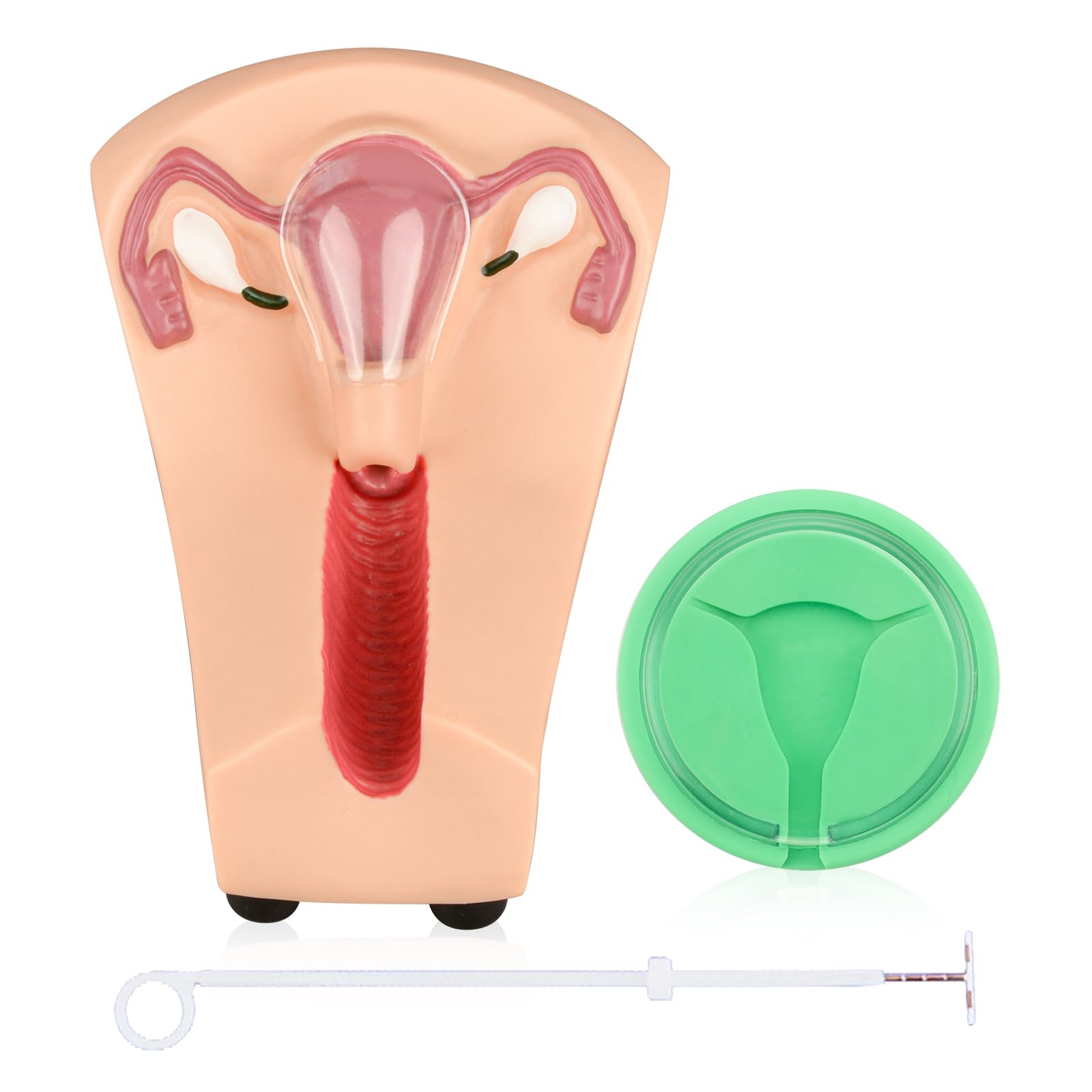 Photo 1 of SimCoach Intrauterine Device Training Kit, IUD Training Model, Female Intrauterine Contraceptive Device Simulator Trainer