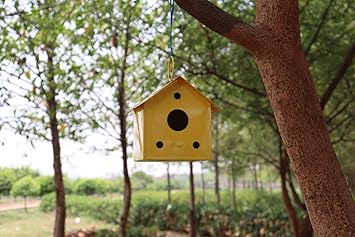 CINAGRO Birds Nest/House for Balcony and Garden Hanging, Outdoor - Yellow