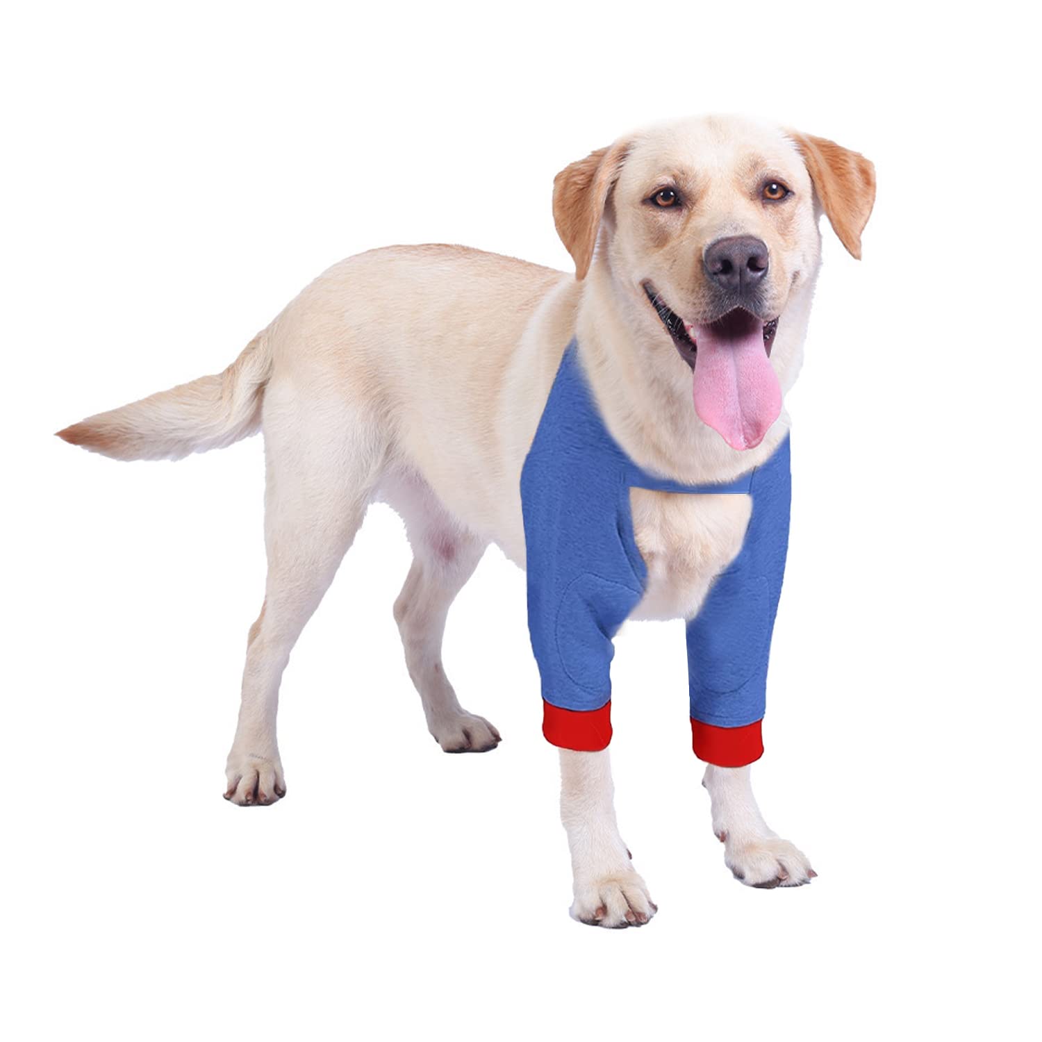 Blue Dream Island Dog Surgery Recovery Sleeve for Front Legs, Pet Prevent Licking Wound Elbow Brace Protector, Dog Recovery Suit for Sprain Arthritis_Blue(XL)