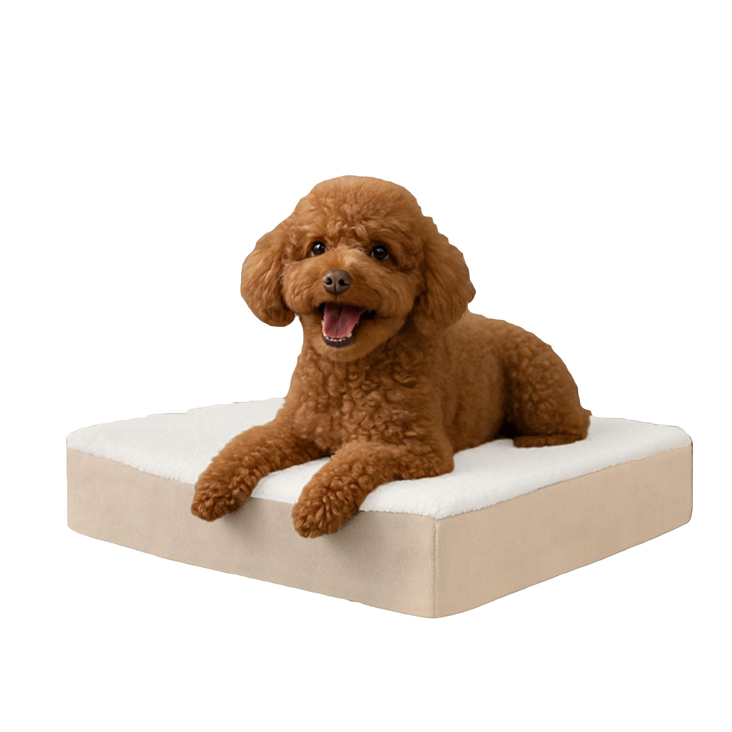 Petmaker Orthopedic Dog Bed ? 2-Layer Memory Foam Dog Bed with Machine Washable Sherpa Cover ? 20x15 Dog Bed for Small Dogs up to 20lbs (Tan)