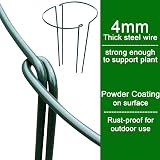 VLYHGO 6Pcs 44x20cm Half Round Plant Supports Garden Stakes Steel Core view 5