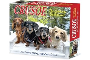 Crusoe the Celebrity Dachshund 2026 5.4" x 6.2" Box Calendar