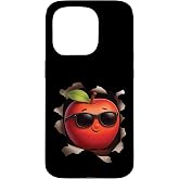 Apple Case for iPhone 15 Pro