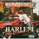 Harlem: Diary of a Summer