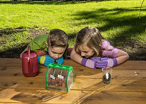 SmartLab Toys Get Growing! Greenhouse - 2 Pack - Thumbnail 4