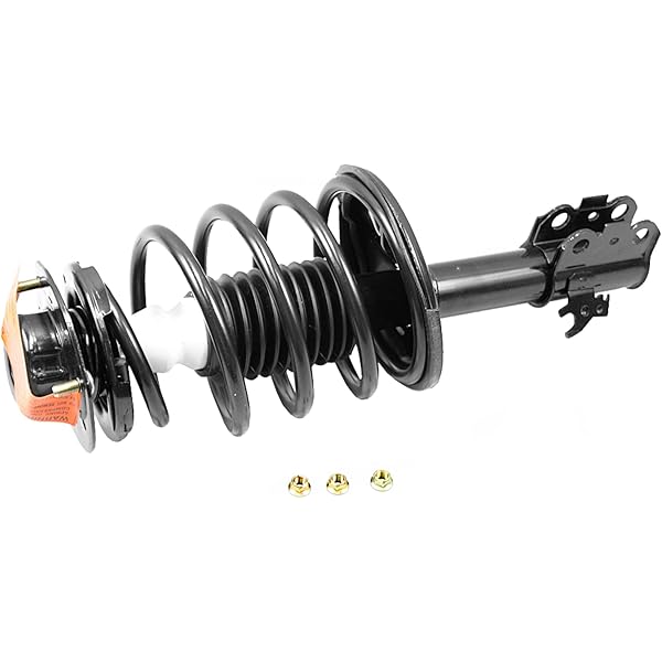 Amazon.com: Monroe Quick-Strut 171979 Suspension Strut and Coil 