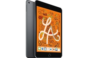 Apple iPad Mini (7.9-in, Wi-Fi, 256GB) - Space Gray (5th Gen, 2019) (Renewed)
