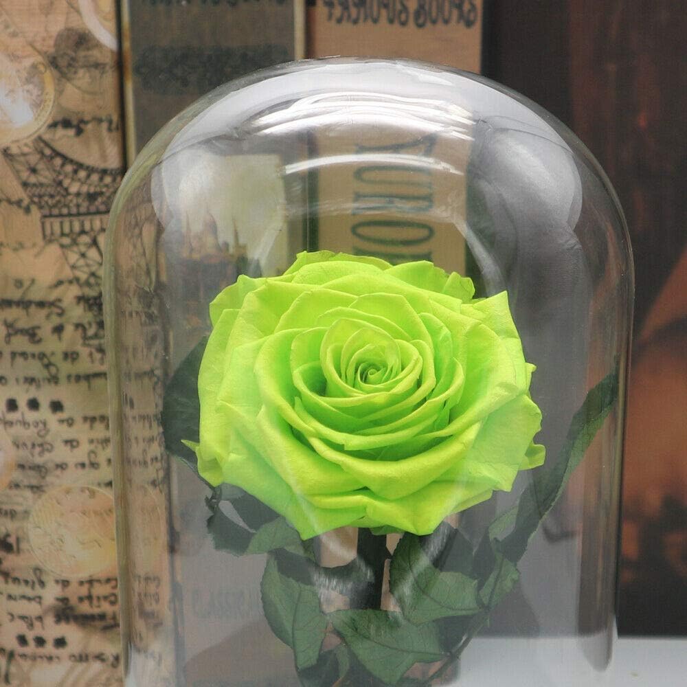 Amazon Com Tuqi Forever Fresh Rose Eternal Flower Festive Preserved Immortal In Glass Cover Gift Emerald Home Kitchen