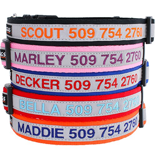 GoTags Reflective Customizable Dog Collars