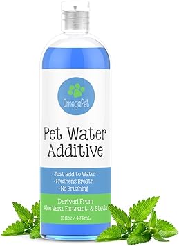 So Ignoriert Dein Hund Andere Hunde Hunde Hund Bellt Hunde Korpersprache