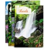 DaySpring - Thank You - King James Version - 4 Assorted Nature Landscape Designs with Scripture - 12 Boxed Cards & Envelopes