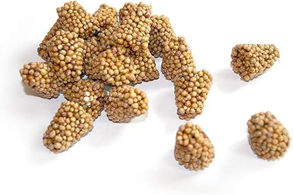 Biotop Seerosendünger, Inhalt 50 Stück Amazon.de Garten