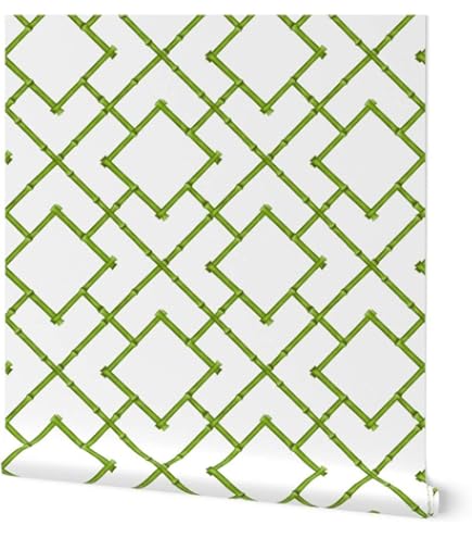 Papier⭐︎新品未使用⭐︎Sheer Honey / Green Amazon.com: HYANG Green Transparent PVC Super Clear