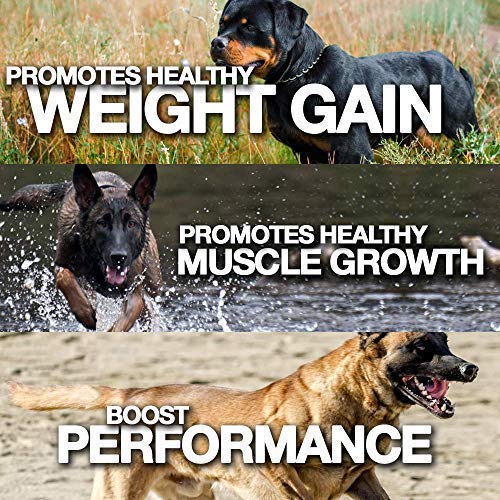 MVP K9 Supplements Formula Mass Weight Gainer for Dogs (90 Servings