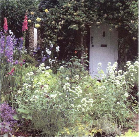 English Cottage Gardening: For American Gardeners, Revised Edition - Thumbnail 6