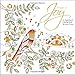 Images of Joy: An Inspirational Coloring Book by Jacqui Grace, Anne Horrobin