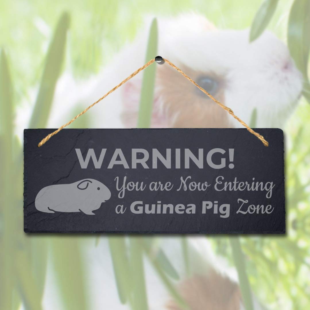 Stukk Warning You Entering Guinea Zone Hanging Pig Cote Pigsties Sign, Natural Engraved Slate Stone Plaque, 30x12cm