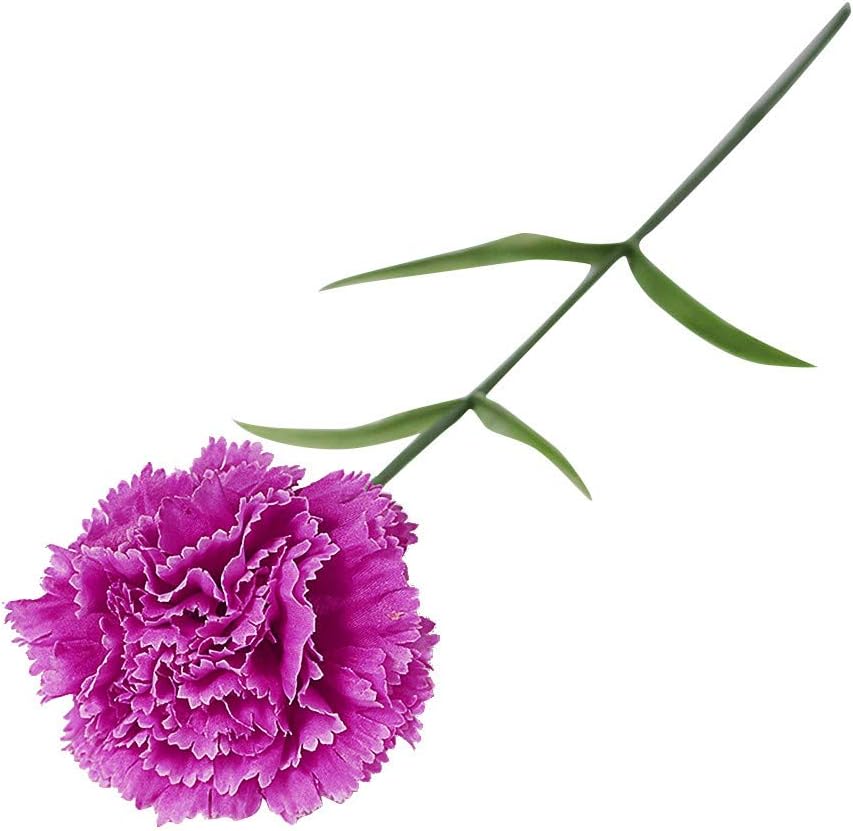 Best Metal Garden Arch For Training Plants