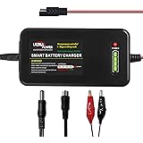 ULTRAPOWER 4Amp 12.8V-14.4V Lipo LifePO4 Battery Charger,4-Stage Automatic Intelligent Battery Charger and Maintenance,Trickl