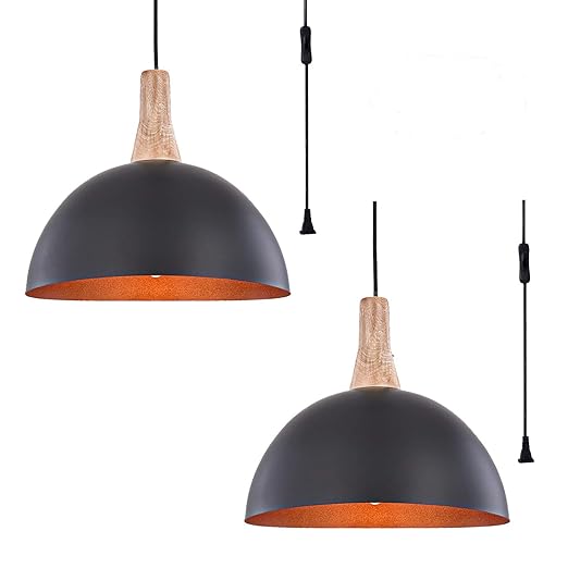 Pendant Light Hoxiya Hanging Ceiling Light Fixture Pl1904
