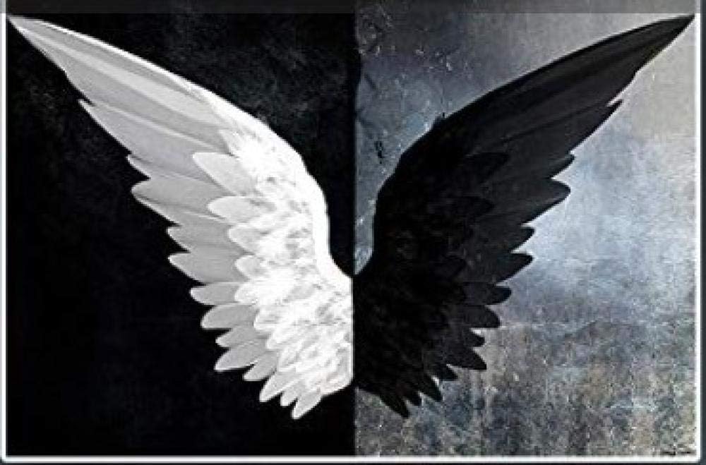 BJLBABY Diy oil painting Black and white wings Paint by Numbers Kits Canvas Painting for Adults Advanced Children Seniors Junior Number Painting Gifts （Without Frame 16x20inch）