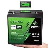ERYY LiFePO4 Lithium Battery 12V