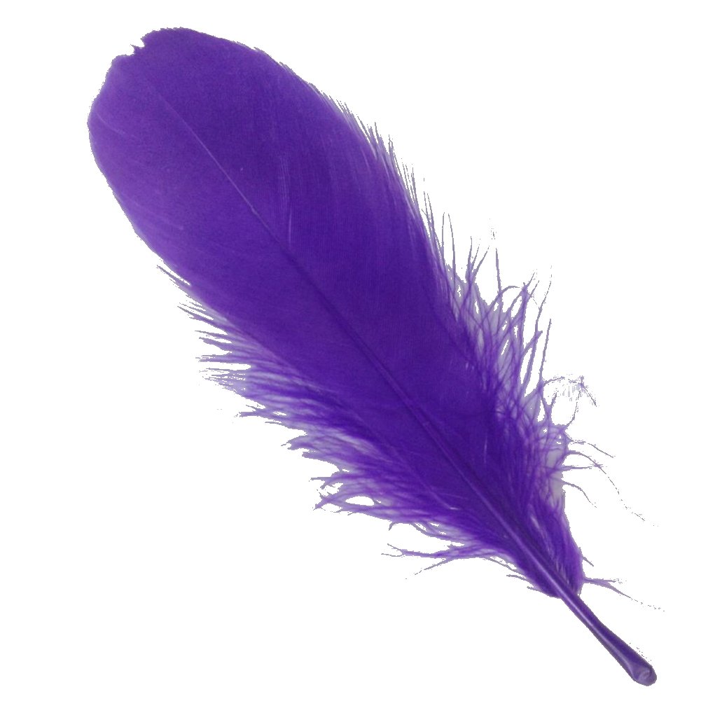 Sowder Natural Goose Feathers Clothing Accessories Pack of 100(Purple)
