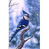 Diartop 5d Diamond Painting Kit By Number Blue Jay Cyanocitta Full Drill Diamond Painting Kit Home Wall Decor Amazon Ca Home Kitchen