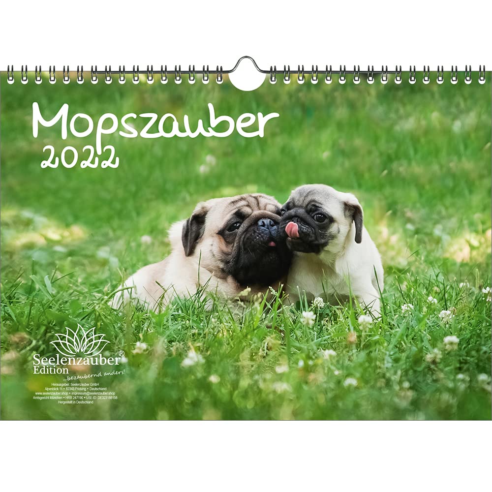 Mopszauber DIN A4 Calendar for 2022 Pug Dogs and Puppies Seelenzauber