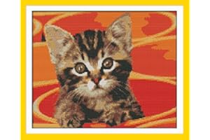 Maydear Cross Stitch Kits Stamped Full Range of Embroidery Starter Kits for Beginners DIY 11CT 3 Strands - Little cat in Pot 18.1×15.4（inch）