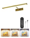 EZVALO Picture Light for Wall, 4800mAh Rechargeable