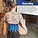 Medi-Gear Back Brace - Lumbar Support Belt for Lower Back Pain - Medical Grade Posture Corrector and Stabilizer with Dual Adjustable Straps